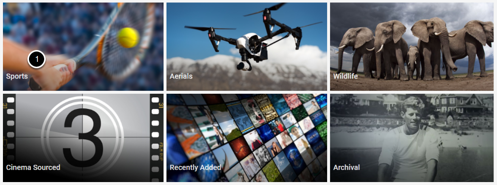 What are collection and gallery views?