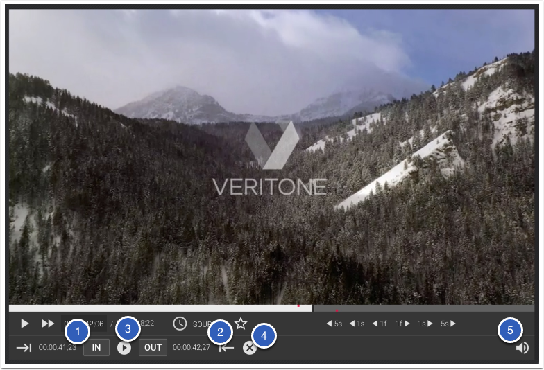 What video player controls are available?